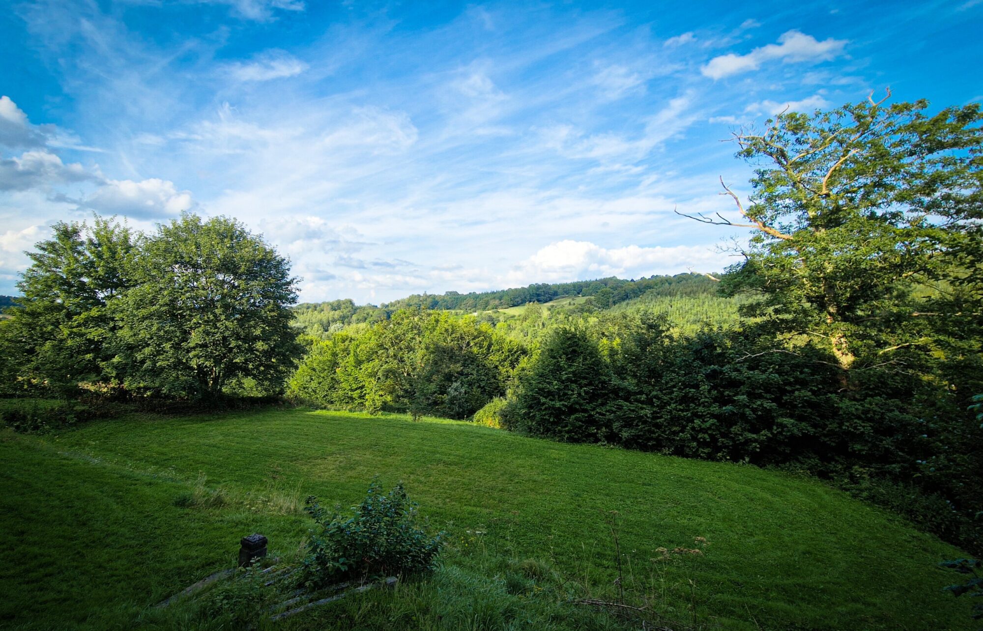 Privacybeleid 1 Prachtig uitzicht op de tuin van het kasteel van Blier in de Ardennen.
